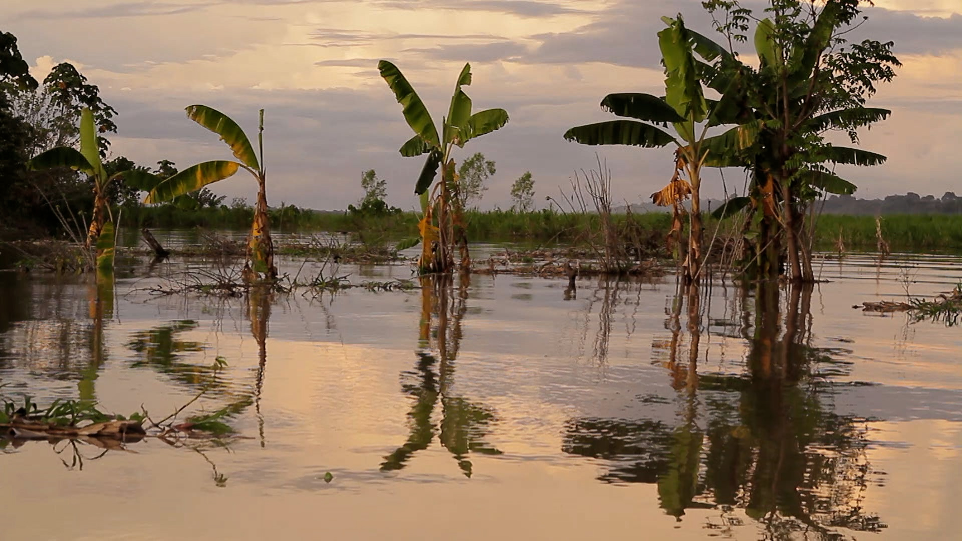 Laura Huertas Millán, Aequador, Film Still, 2012